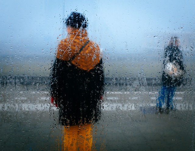 雨