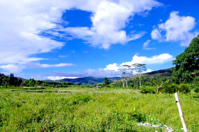 ラメラウ山
