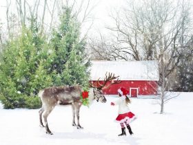 クリスマス