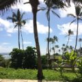 癒しを求めるハワイの旅・カウアイ島の魅力に迫る