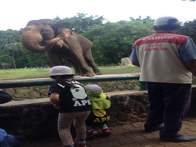 ラグナン動物園（Ragunan Zoo）