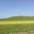 中国草原紀行！内モンゴル自治区の草原を堪能するコツ