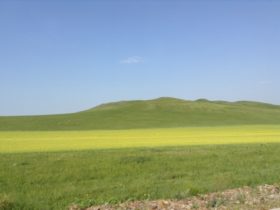 内モンゴルの草原