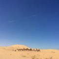 砂漠で非日常を楽しむ～中国内モンゴル自治区の砂漠体験記