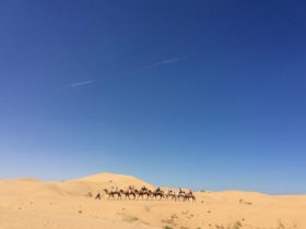 内モンゴルの砂漠