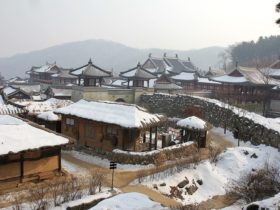 冬の韓国