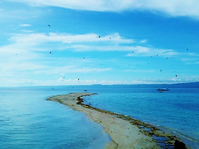 フィリピンの海