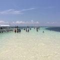 人気急上昇！フィリピン・ボホール島の魅力と基本情報