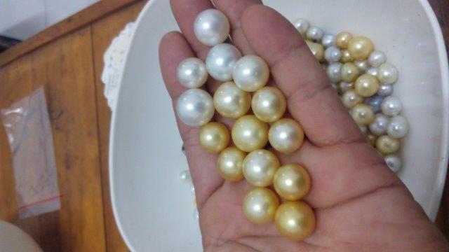 インドネシアの真珠